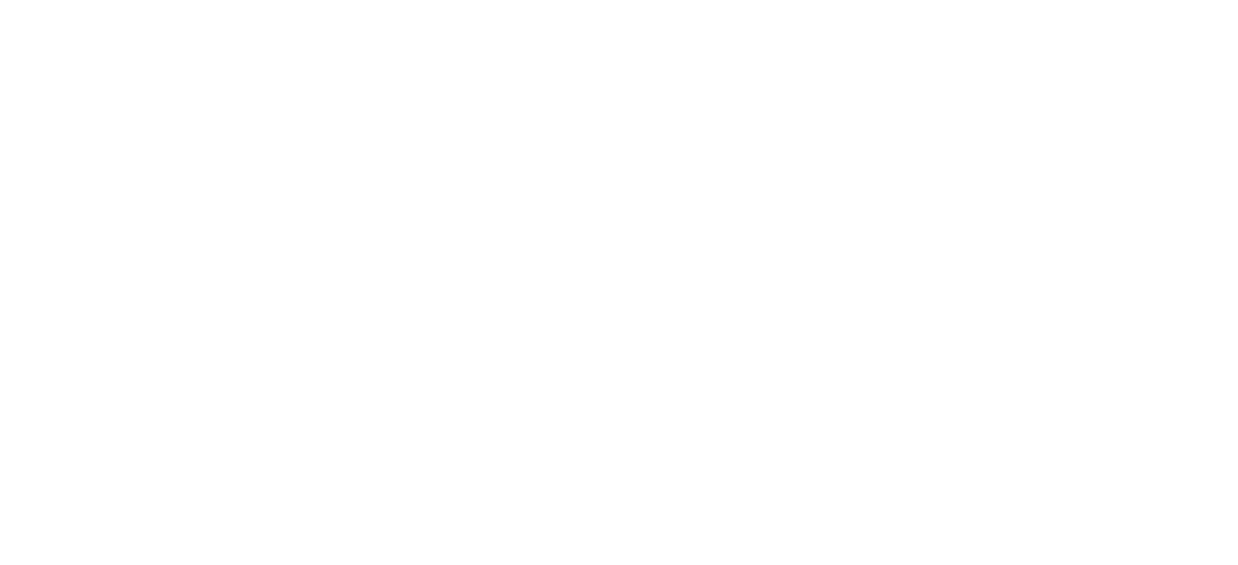 RS Saúde - Gestão em saúde corporativa (logo branco)